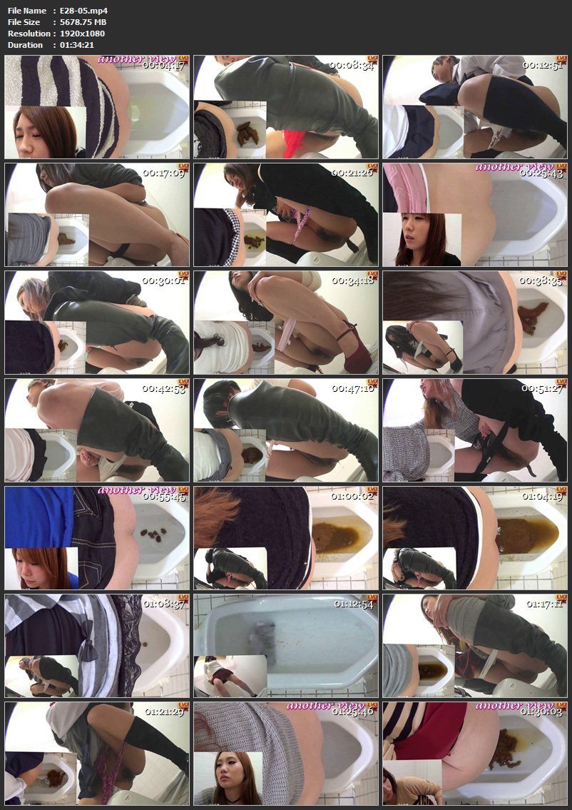 [E28-05] 盗覗3カメトイレ　便器に溜まるウンコ ジェイド エボ・ビジュアル トイレ(盗撮)