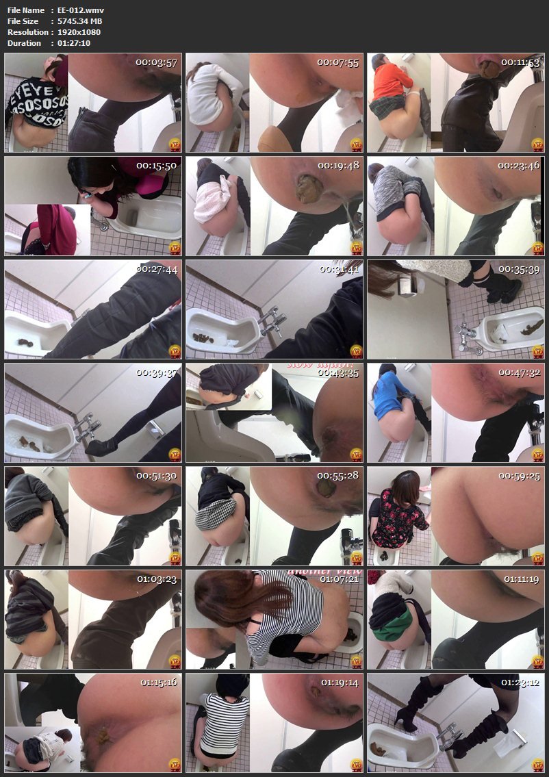 [EE-012] 盗覗3カメトイレ お尻ズームうんこ スカトロ トイレ(盗撮) 投稿 ジェイド