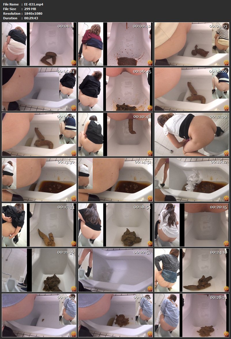 [EE-031] 盗覗3カメトイレ　ウンコのすべて　2 エボ・ビジュアル ジェイド 盗撮