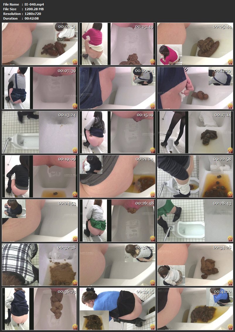 [EE-040] 盗覗4カメトイレ　イキむウンコ姿！！ Scat ジェイド エボ・ビジュアル