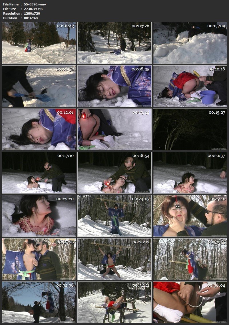 [SS-0390] 立花ルミ ドキュメントＳＭ　妾隷花 志摩プランニング