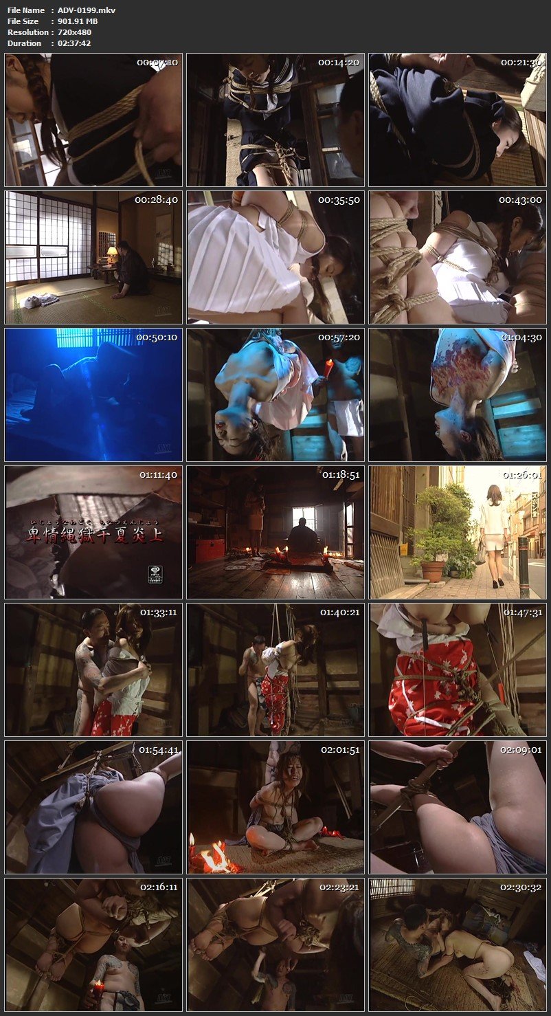 ADV-0199 Nakano Chinatsu 淫獄の囚花 卑情縄獄千夏炎上 Restraints Art Video