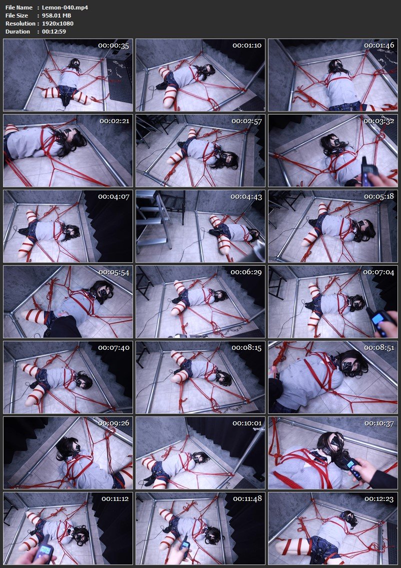 Lemon-040 制服張り付け (Uniform Adhesion)