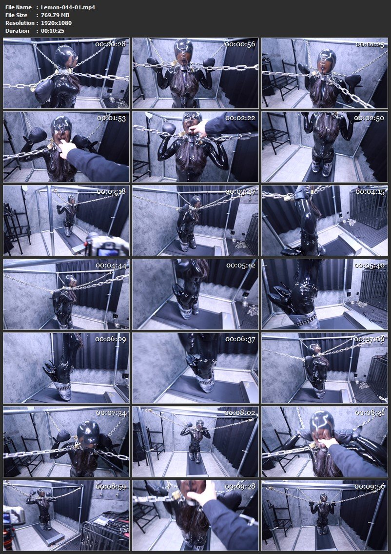 Lemon-044 歩行 (Walking)