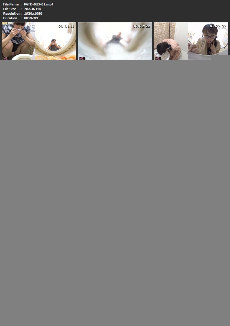 [PGFD-023] 居酒屋便所 激嘔吐・六 スカトロ Scat