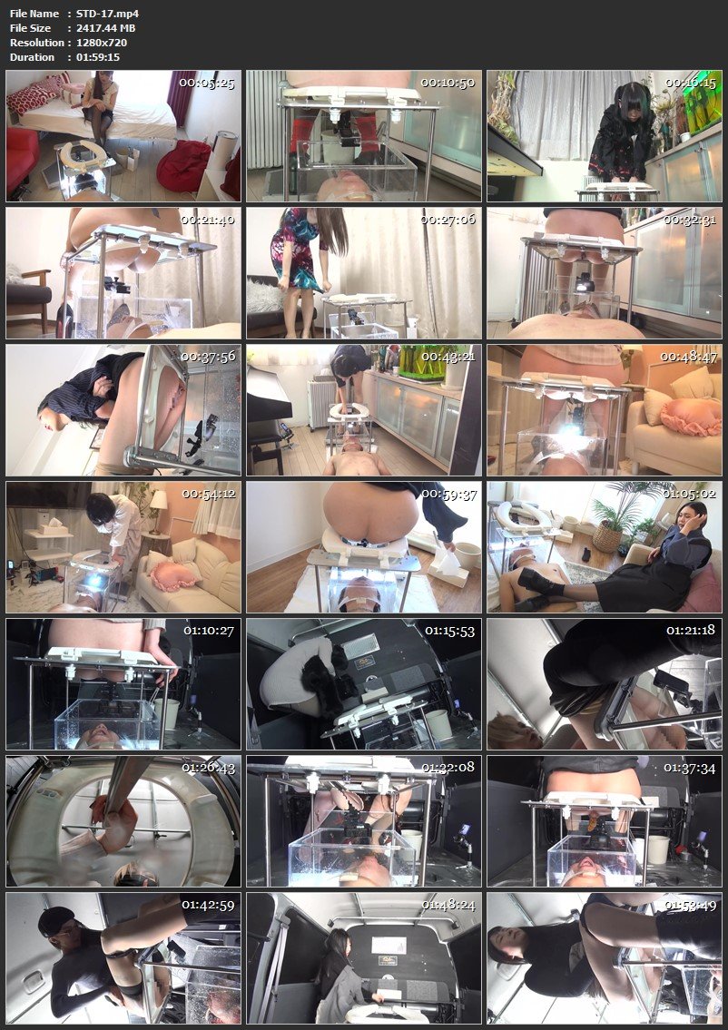 [STD-17] デリバリー生体家具〜YAMADA便器2 〜ヤマダ会員お嬢様 便槽酷使編 肉便器道 Defecation 2022/02/25 Humiliation