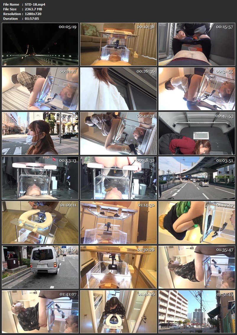 [STD-18] デリバリー生体家具〜YAMADA便器2〜一般公募お嬢様?便槽初使用編 Defecation 肉便器道 Humiliation 2022/02/25