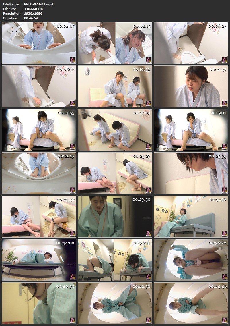[PGFD-072] ジェイド 集団感染 隠撮 病院トイレ 下痢嘔吐 3 2021/08/13 Defecation Toilet