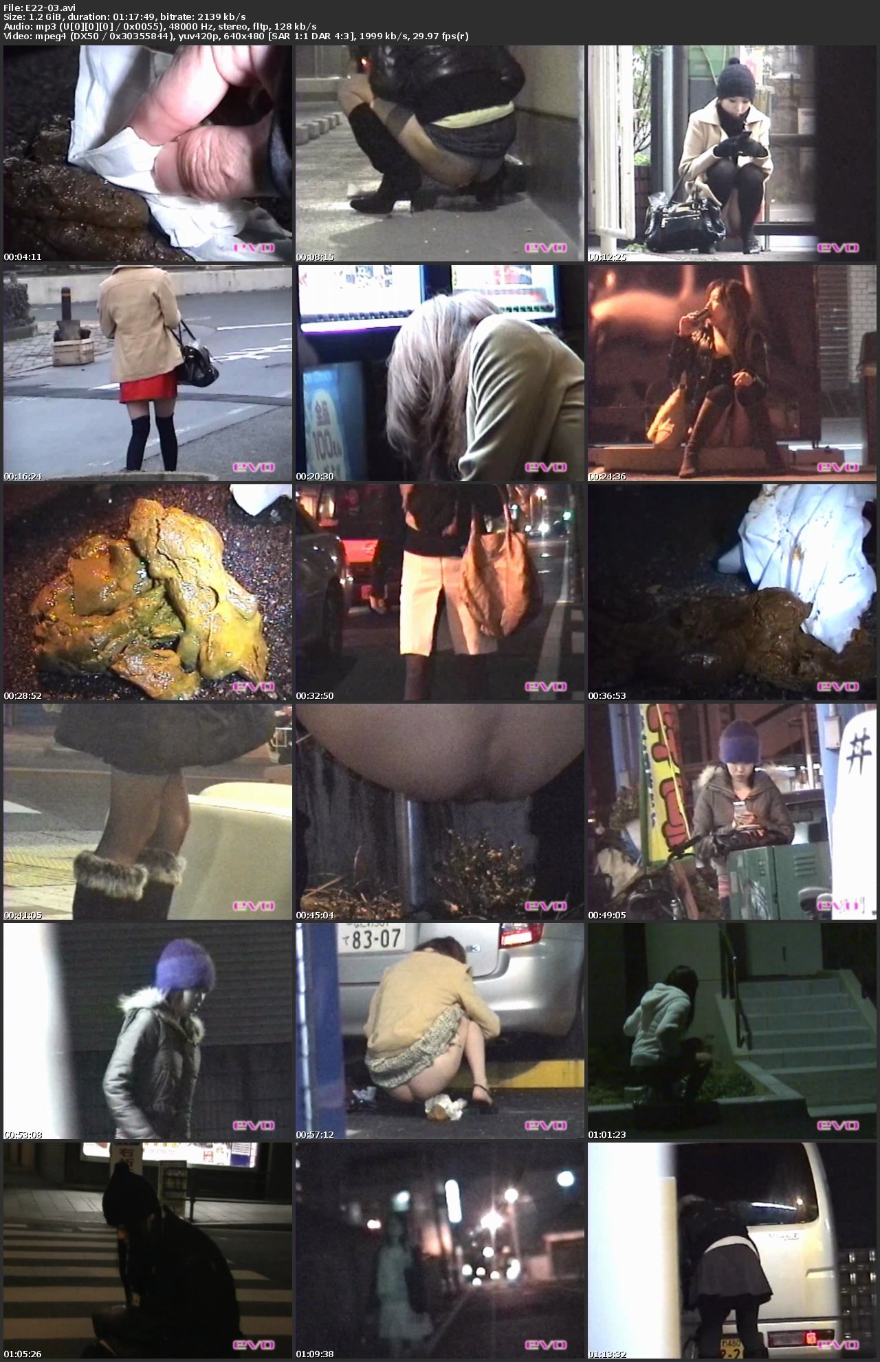 [E22-03] 泥酔女の恥態集　街グソ その他スカトロ その他盗撮 企画 Voyeur